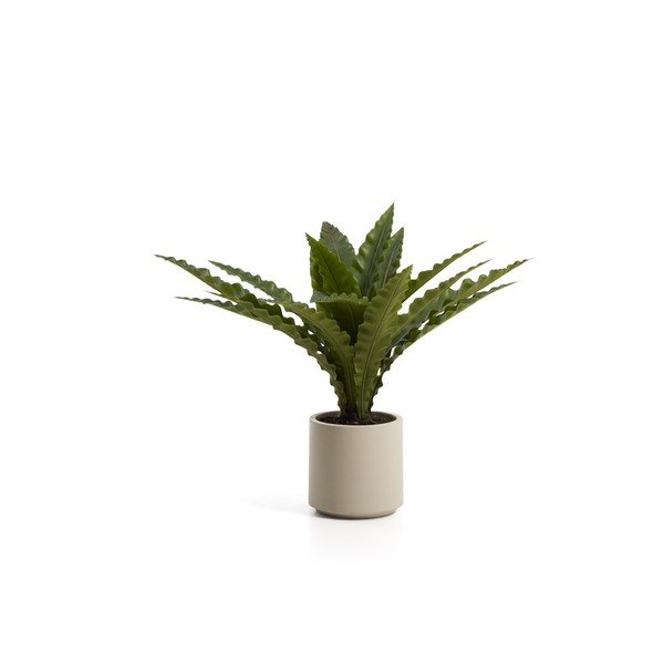 Umelý sukulent (výška  70 cm) Neottopteris – Kave Home