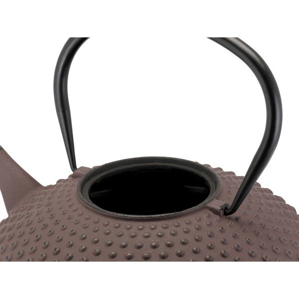 Vínovová kanvica na čaj z liatiny 1,25 l Xilin – Bredemeijer-image-4