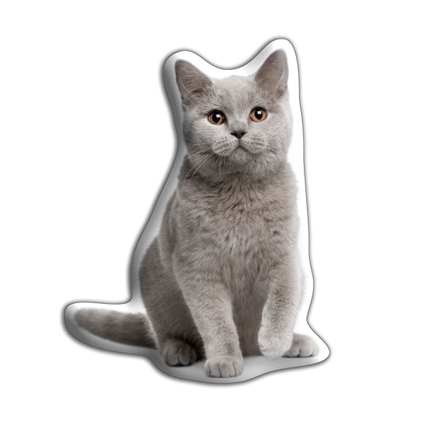 Vankúšik s potlačou Britskej krátkosrstej mačky Adorable Cushions