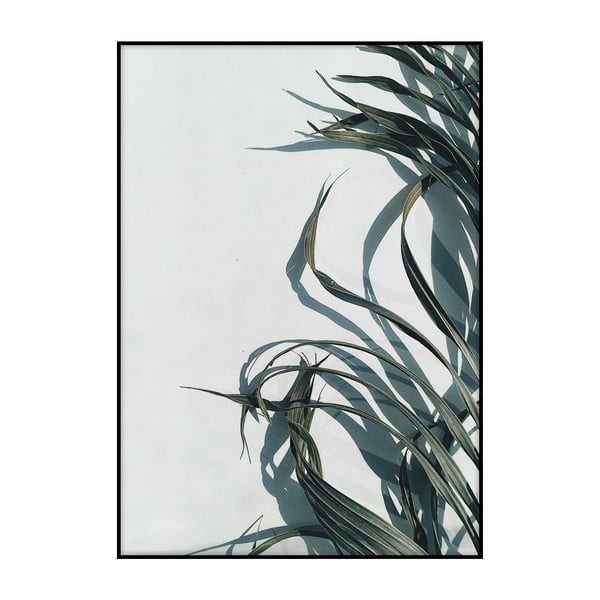 Plagát Imagioo Palm Shadows, 40 × 30 cm