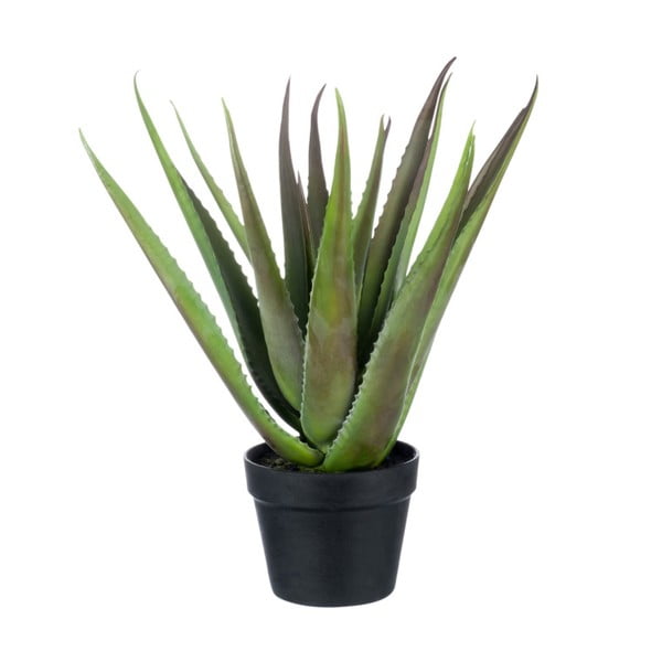 Umelá rastlina J-Line Aloe Vera, výška 50 cm
