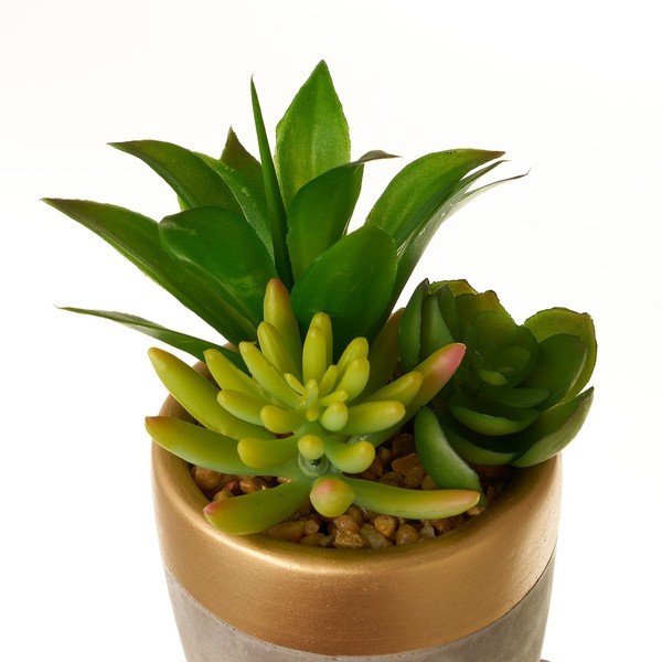 Umelé rastliny v súprave 4 ks (výška  17 cm) Cactus – Casa Selección-image-4