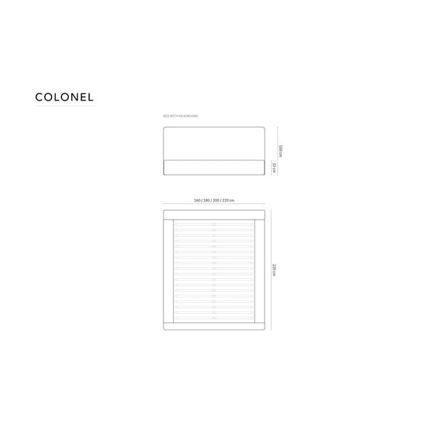 Svetlosivá čalúnená dvojlôžková posteľ s úložným priestorom s roštom 140x200 cm Colonel – Cosmopolitan Design-image-4