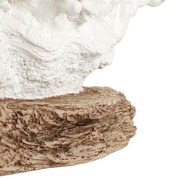 Dekorácia Côté Table Coral-image-2