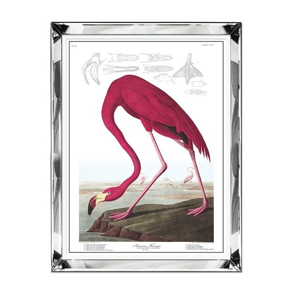 Nástenný obraz JohnsonStyle The Flamingo, 71 x 91 cm