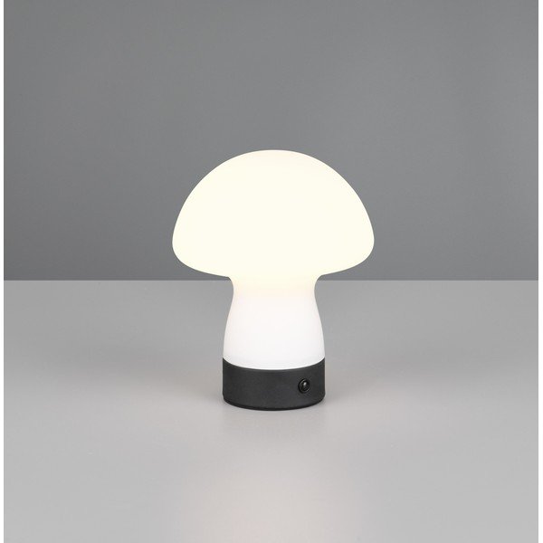 Matne biela LED stolová lampa so skleneným tienidlom (výška  18 cm) Dooley – Reality-image-1