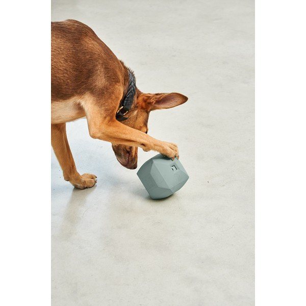 Hračka pre psa Dado Eucalyptus – MiaCara-image-2