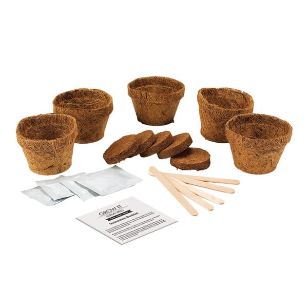 Pestovateľský set so semienkami bonsaja Gift Republic Bonsai Trees-image-1