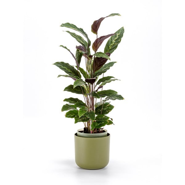 Zelený samozavlažovací kvetináč Plastia Tolita, ø 16 cm-image-1