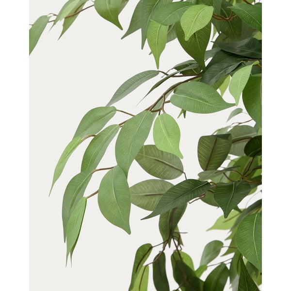 Umelý fikus (výška 180 cm) Ficus – Kave Home-image-3