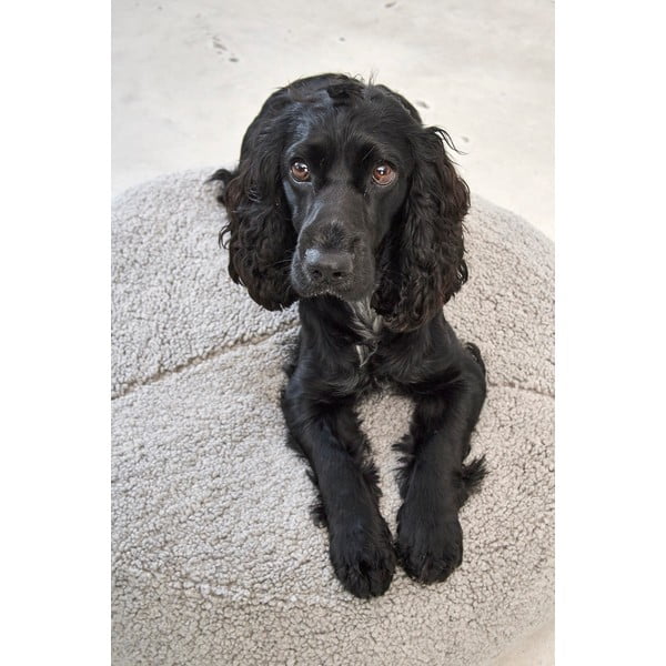 Sivý pelech pre psa z materiálu buklé ø 90 cm Senso Pouffe Pebble M/L – MiaCara-image-2