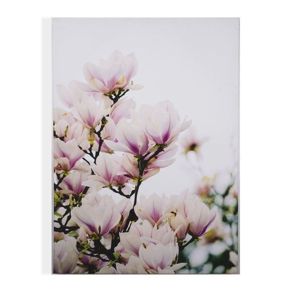 Obraz Graham & Brown Magnolia Blossoms, 50 × 70 cm