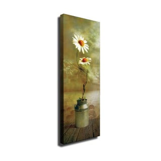 Nástenný obraz na plátne Daisy, 30 × 80 cm