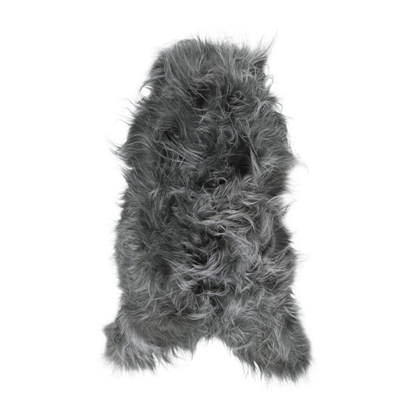Tmavosivá ovčia kožušina s dlhým vlasom Arctic Fur Ptelja, 100 × 55 cm