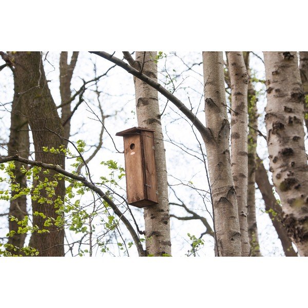 Drevená vtáčia búdka – Esschert Design-image-1