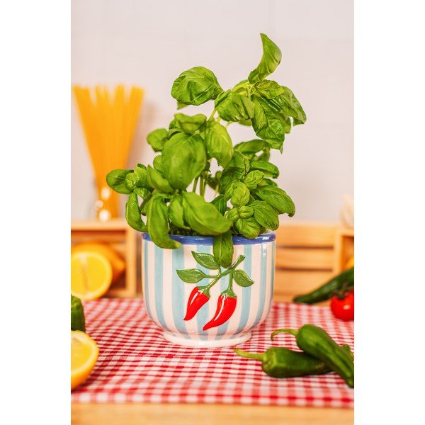 Keramický ručne maľovaný obal na kvetináč ø 12 cm Chilli – Sass & Belle-image-1