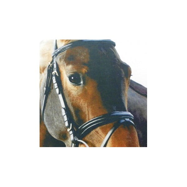 Vankúš Mars&More Horse 50 x 50 cm-image-1