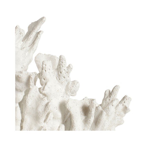 Dekorácia Côté Table Coral-image-1