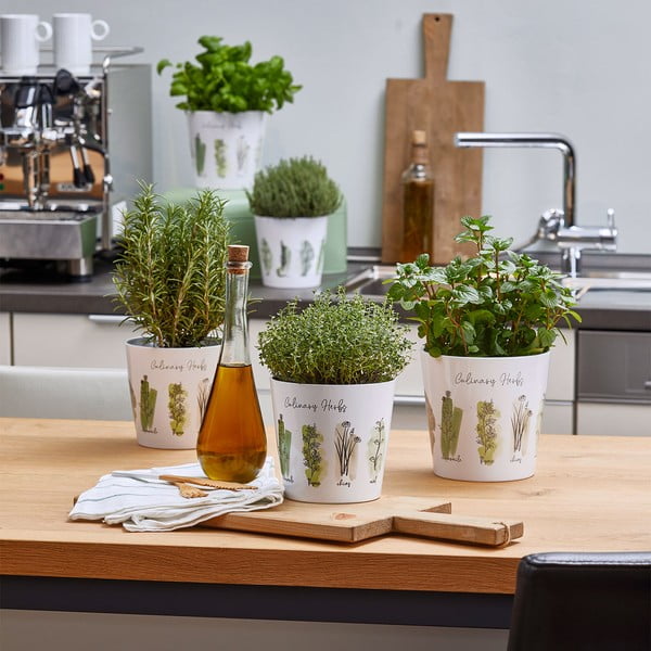 Keramické kvetináče v súprave 2 ks na bylinky ø 14 cm Dalllas Culinary - Big pots-image-2