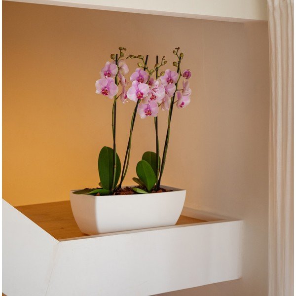 Kvetináč z recyklovaného plastu 40 cm Siena – Artevasi-image-4