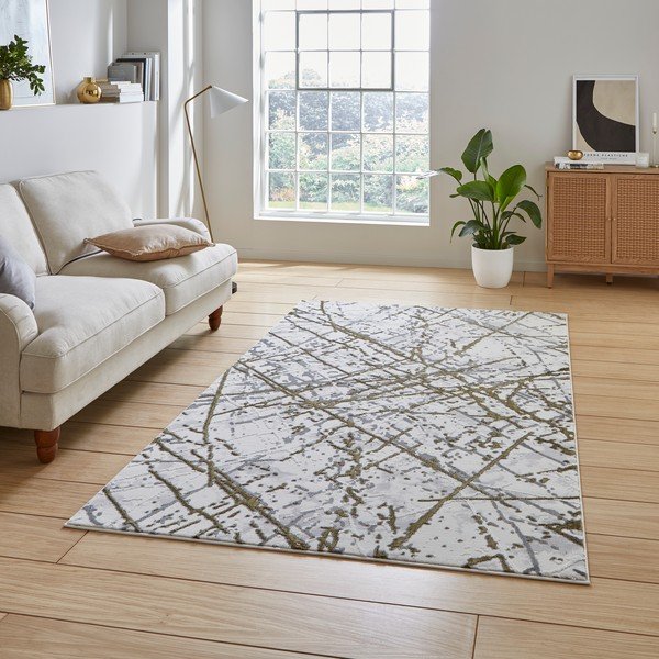 Koberec vo svetlosivo-zlatej farbe 80x150 cm Artemis – Think Rugs-image-1