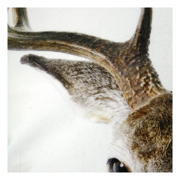 Vankúš Deer 50x50 cm-image-1