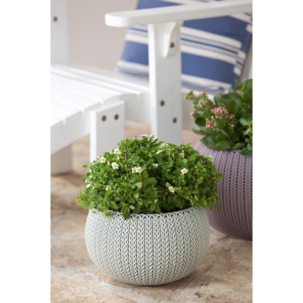 Plastový závesný a nástenný  kvetináč ø 36 cm Cozy – Keter-image-3
