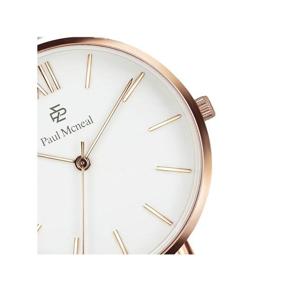 Dámske hodinky s remienkom v zlatej farbe z antikoro ocele Paul McNeal Timeless-image-4