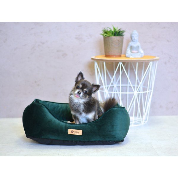 Tmavozelený zamatový pelech 55x42 cm Royal - Petsy-image-1