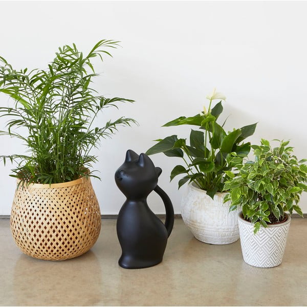 Plastová kanvička na zalievanie 2 l Meow – Balvi-image-1