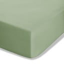 Zelená napínacia perkálová plachta 90x190 cm Easy Iron Percale – Catherine Lansfield