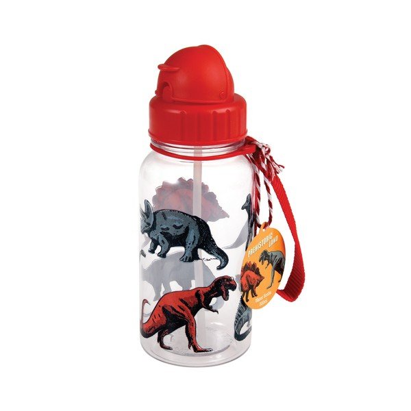 Fľaša na vodu Rex London Prehistoric, 500 ml