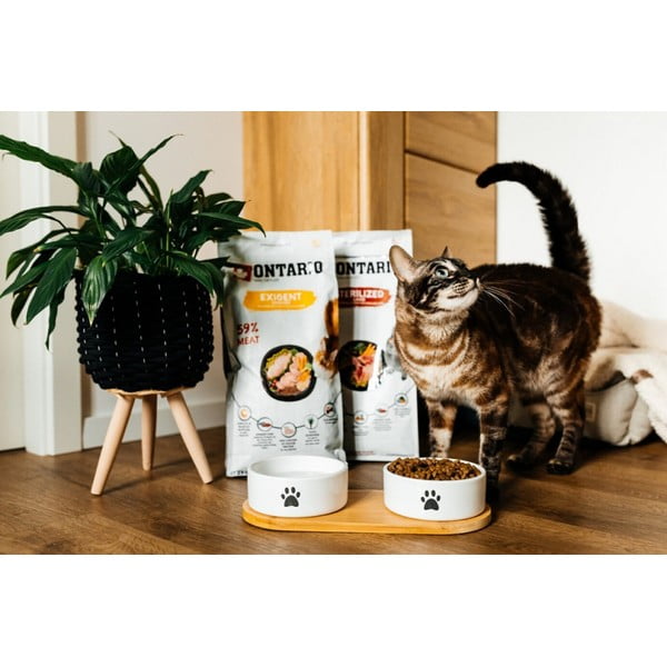 Keramická súprava misiek s podstavcom pre psa ø 13 cm Dog Fantasy – Plaček Pet Products-image-1