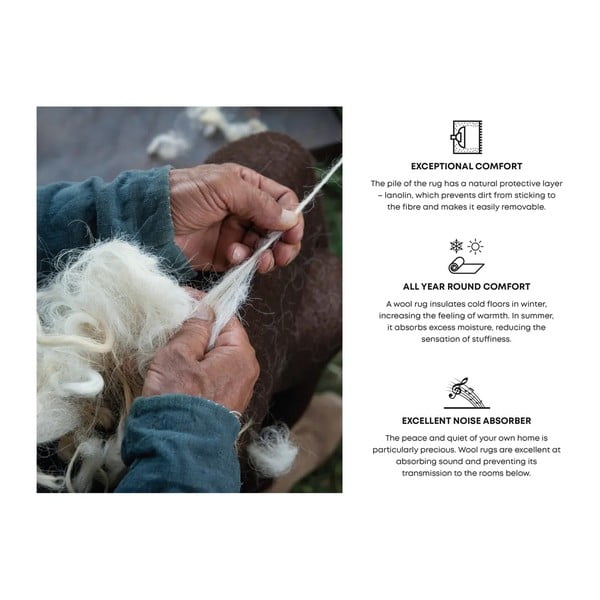 Hnedý vlnený koberec 230x340 cm Astrid – Agnella-image-4