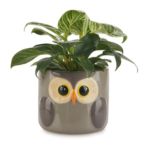 Keramický kvetináč ø 13,5 cm Owl – Balvi-image-2