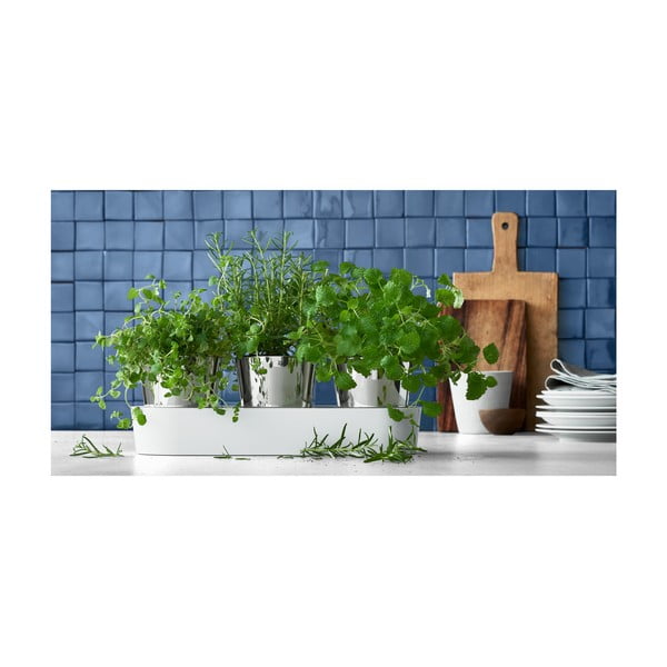 Súprava 3 antikoro kvetináčov na bylinky WMF Gourmet-image-1