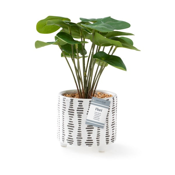 Umelá rastlina (výška 23 cm) Flori Pilea – AmeliaHome