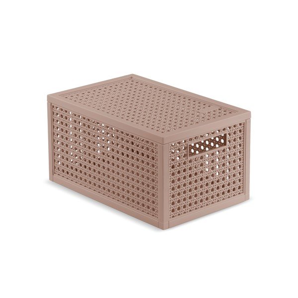 Staroružový úložný box s vekom z recyklovaného plastu 19x30x15 cm Kaya – Curver