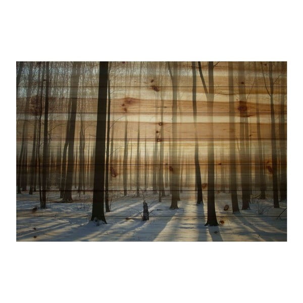 Obraz na dreve Marmont Hill Wooden Age, 61 × 41 cm