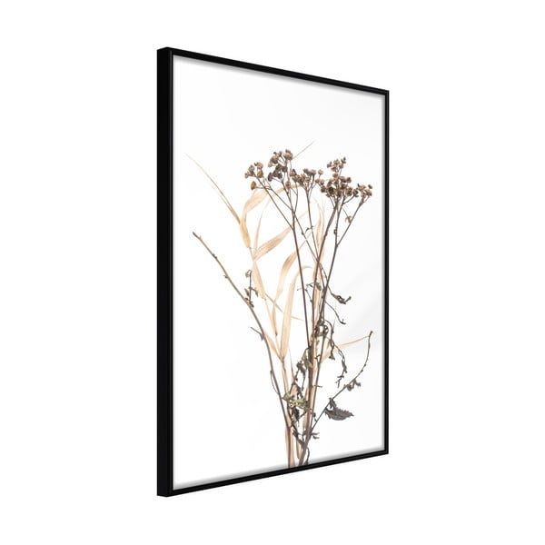 Plagát v ráme Artgeist Diary of a Herbalist, 30 x 45 cm