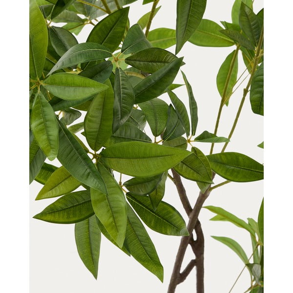 Umelá rastlina (výška 180 cm) Pachira – Kave Home-image-1