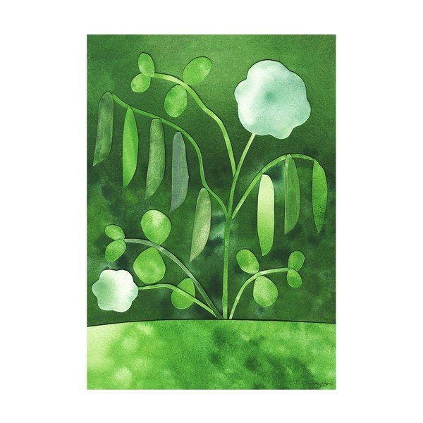 Plagát 50x70 cm Peas in Bloom – Anna Ravn Bjørn – The Poster Club