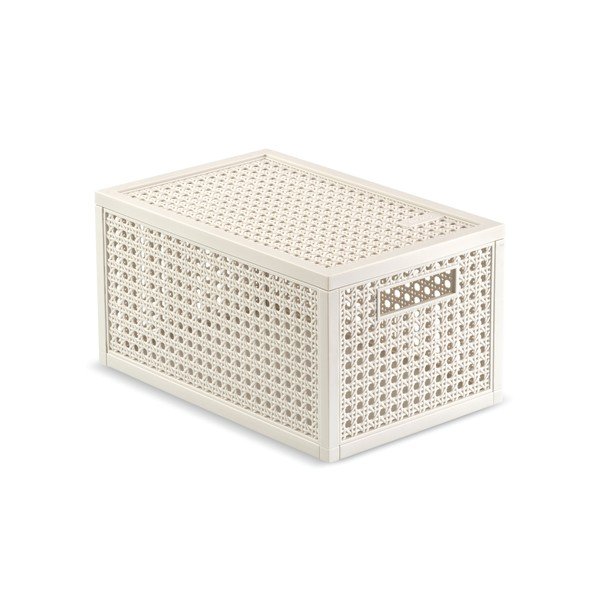 Krémovobiely úložný box s vekom z recyklovaného plastu 19x30x15 cm Kaya – Curver