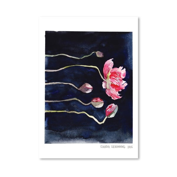 Plagát Blooms on Black III, 30 × 42 cm