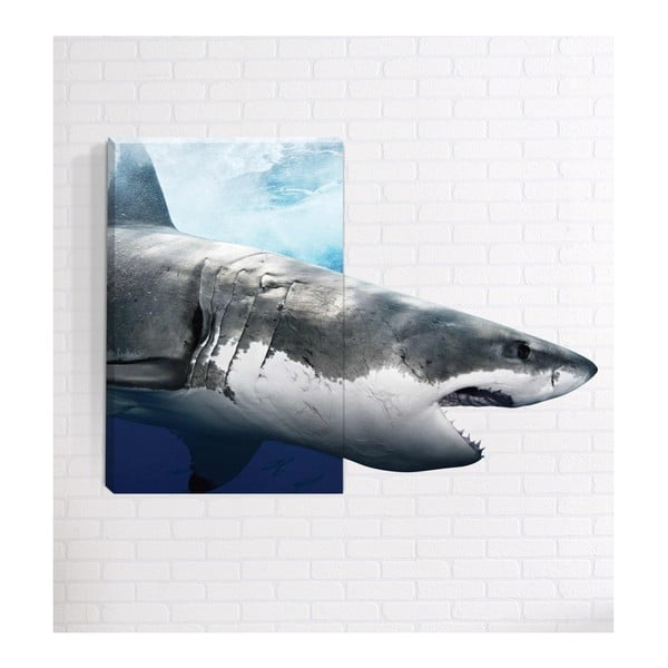 Nástenný 3D obraz Mosticx Žralok, 40 x 60 cm
