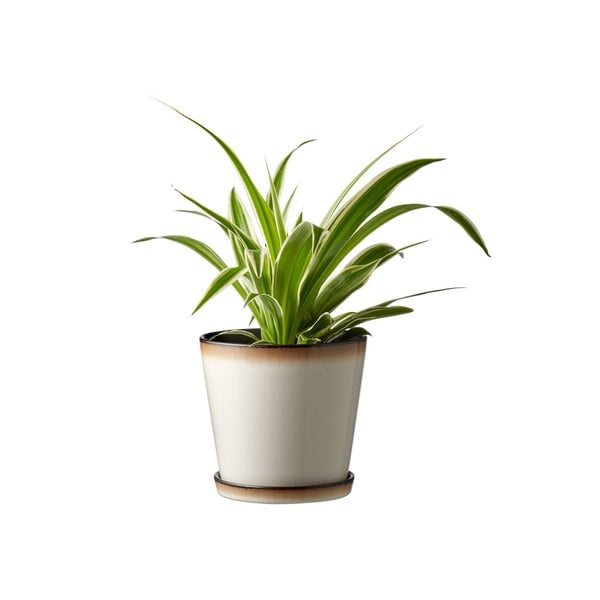 Kameninový kvetináč ø 14 cm Gastro  – Bitz-image-1