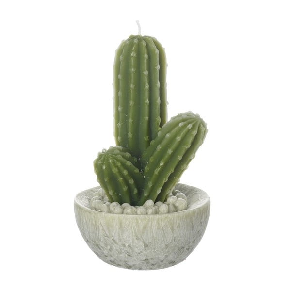 Sviečka Heaven Sends Cactus