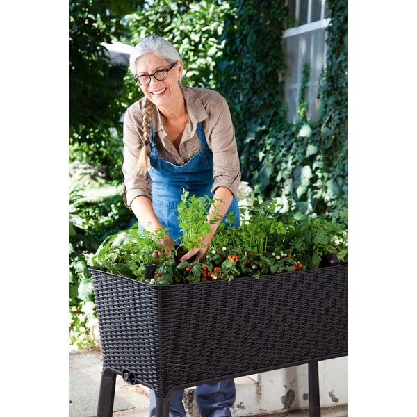 Kvetináč Easy Grow – Keter-image-3