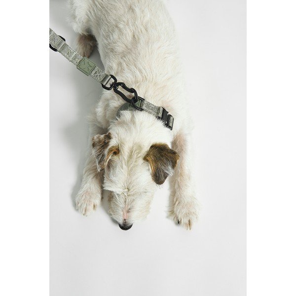 Zelený obojok veľkosť L/XL dĺžka 40 cm Modena Grolive L/XL – MiaCara-image-1