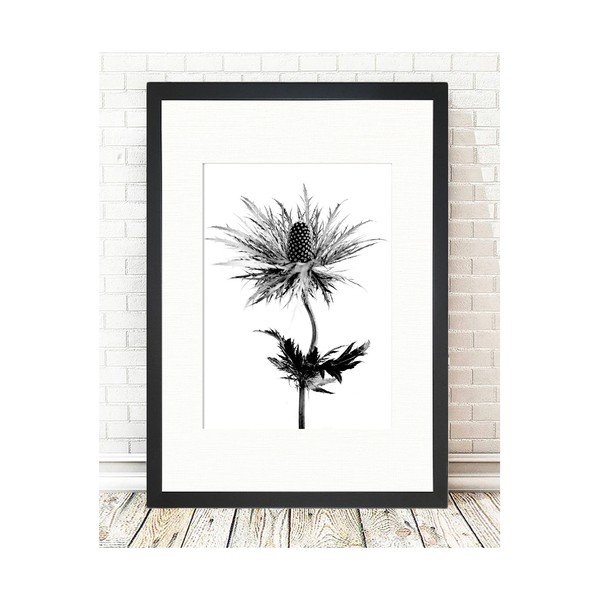 Plagát 24x29 cm Thistle Vibes - Tablo Center-image-1